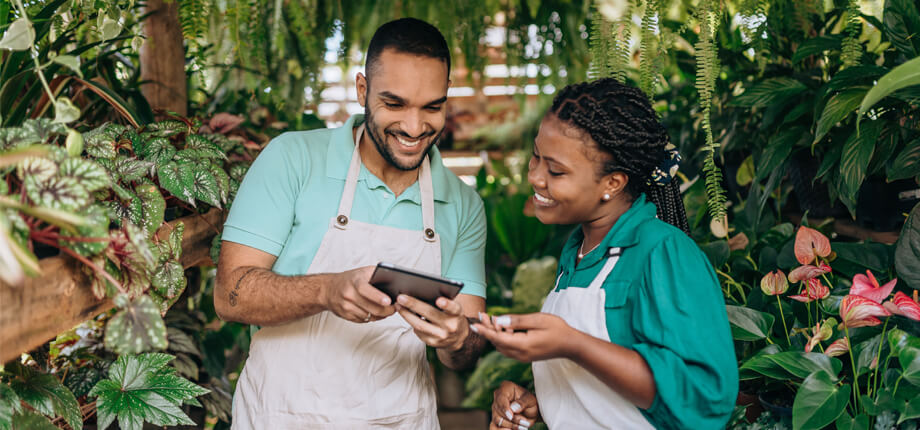 Brazilian business owners within a florest looking at a tablet